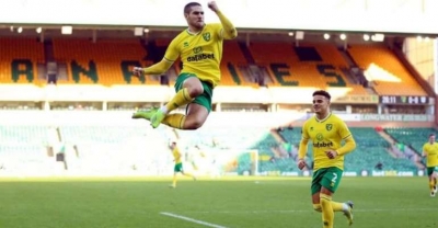 Norwich promoted to Premier League